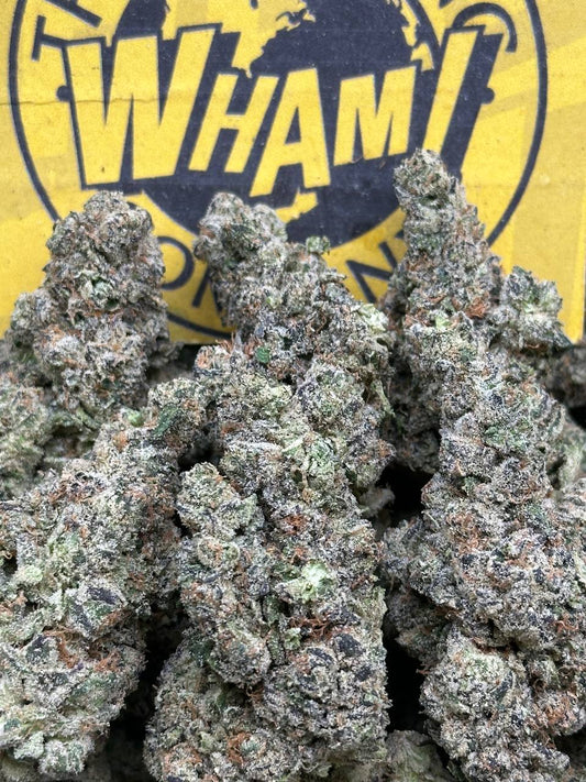 GMO Zkittles (Sativa Hybrid)