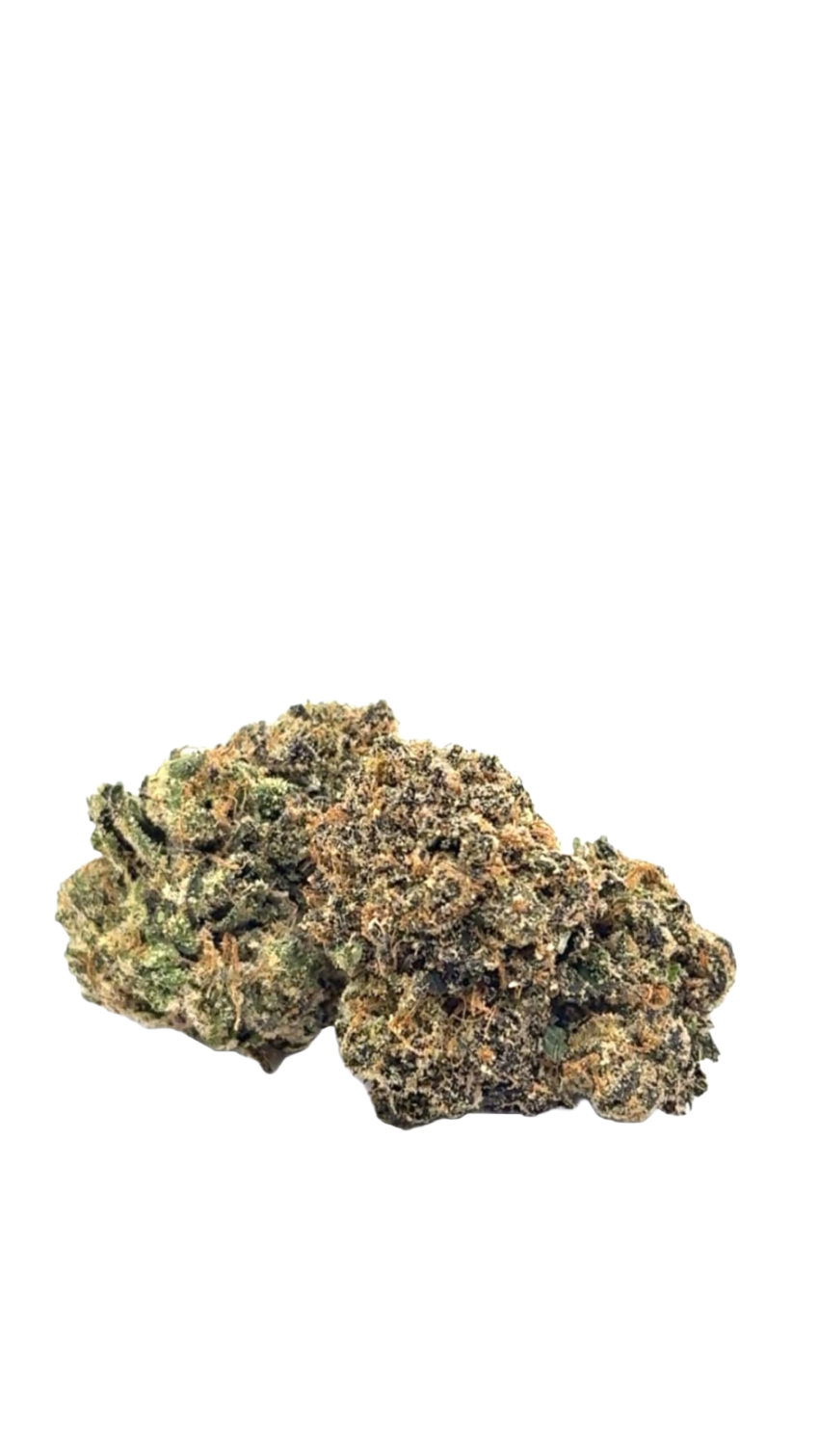 Lemon Cherry Gelato